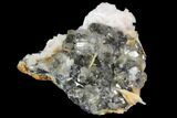 Cerussite Crystals with Bladed Barite on Galena - Morocco #98729-1